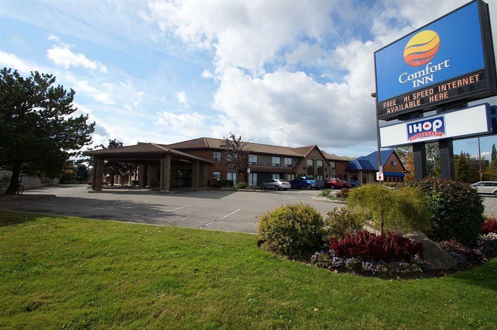 Comfort Inn Saint Catharines Exterior photo